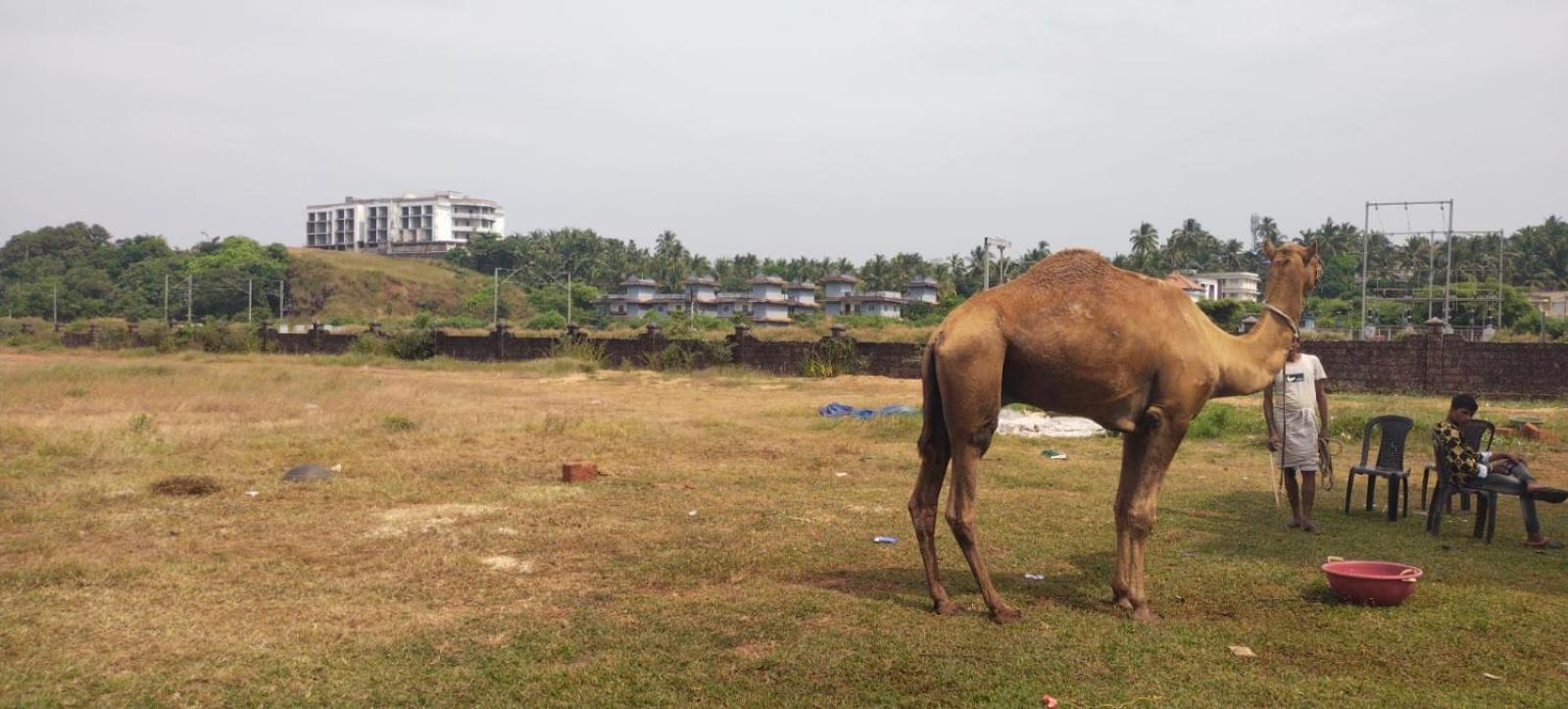 Bekal Fort Beach Resorts Bekal Town 외부 사진