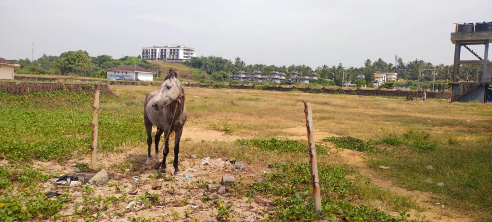 Bekal Fort Beach Resorts Bekal Town 외부 사진